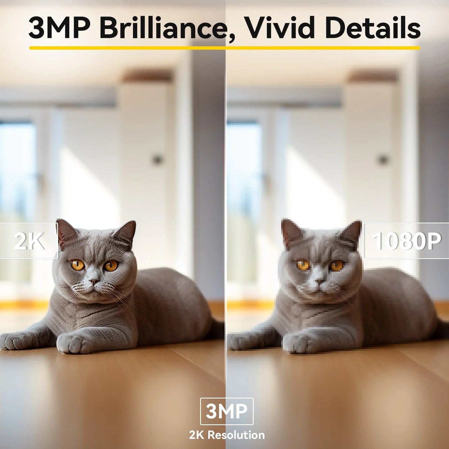 2K Indoor Pet Camera with 360° View