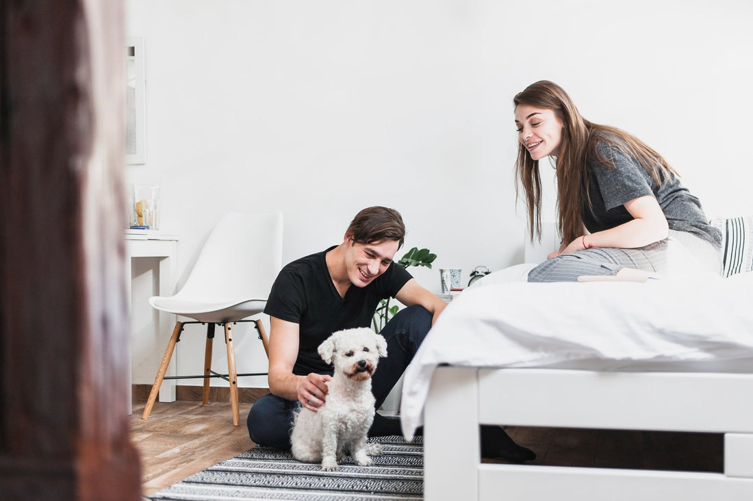 The Ultimate Guide to Choosing a Large Dog Bed That Lasts