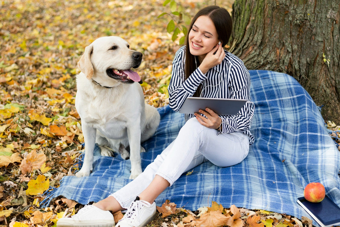 Why Every Pet Owner Needs a Cooling Mat for Hot Weather