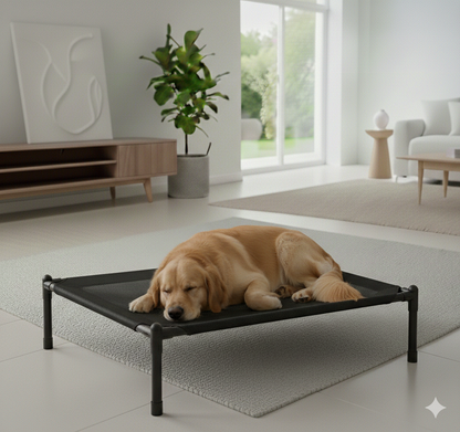 Elevated Pet Bed