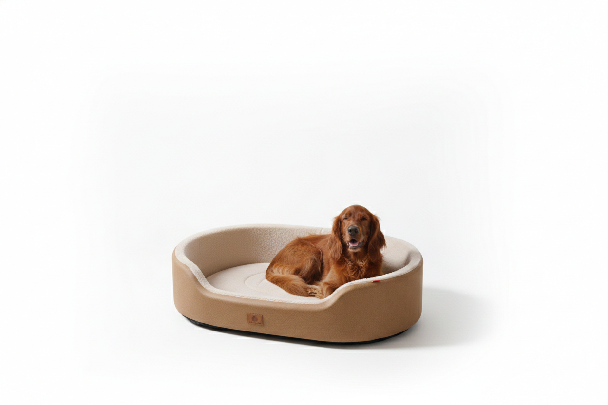 Orthopedic Dog Bed
