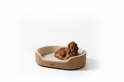 Orthopedic Dog Bed