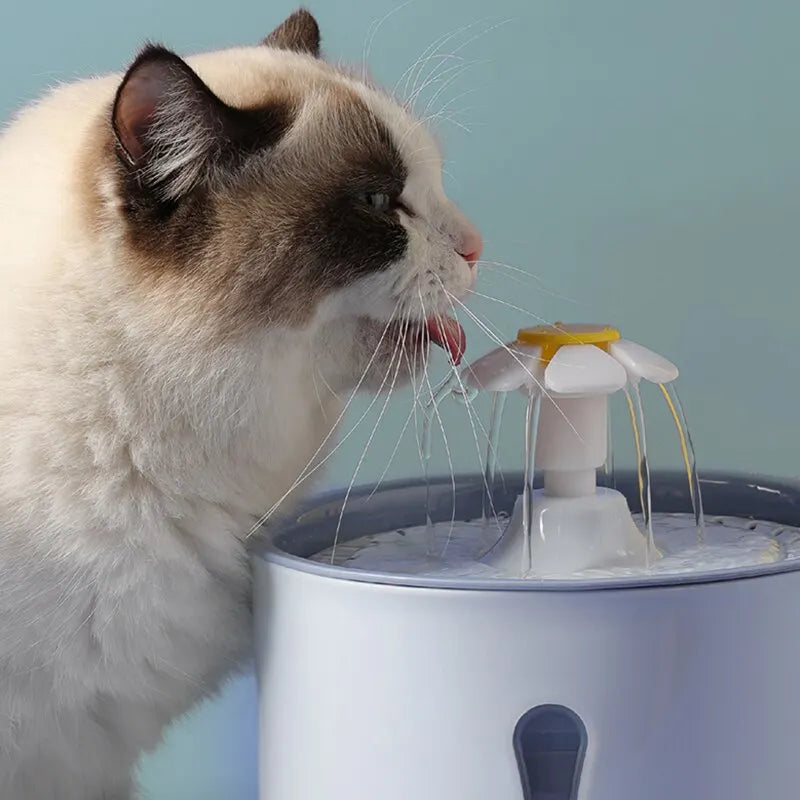 LED Automatic Water Fountain